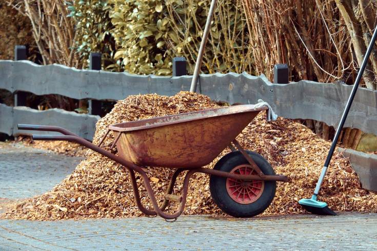 Does Cedar Mulch Attract Termites? [All You Need To Know] - Life Under ...